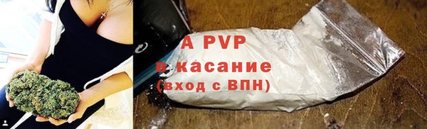 PSILOCYBIN Вязники