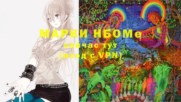 PSILOCYBIN Вязники