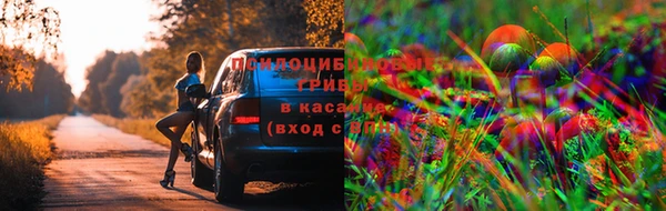 PSILOCYBIN Вязники